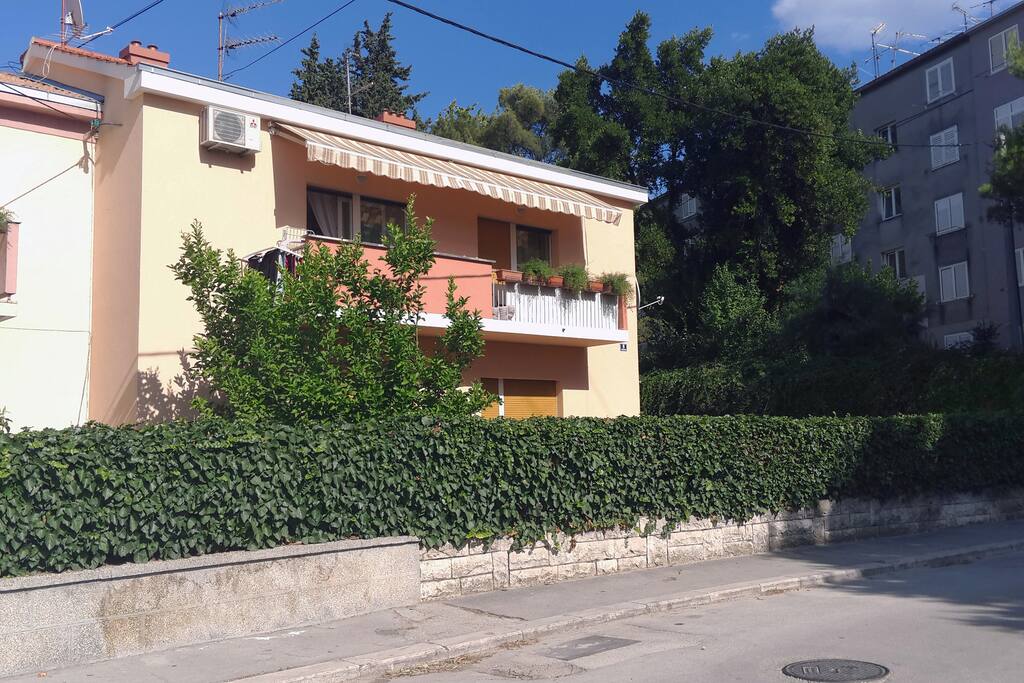 The house