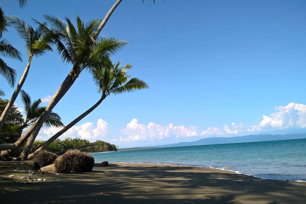 Our Amazing Beach