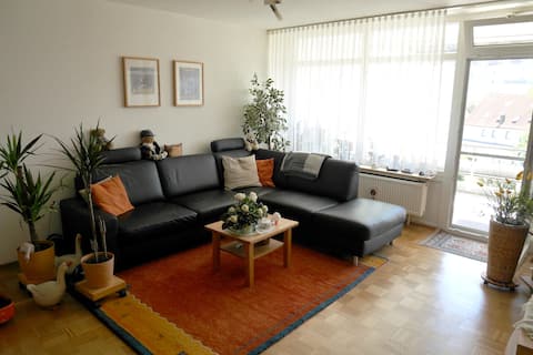Fully equipped 1-bedroom flat near Ulm/Neu-Ulm