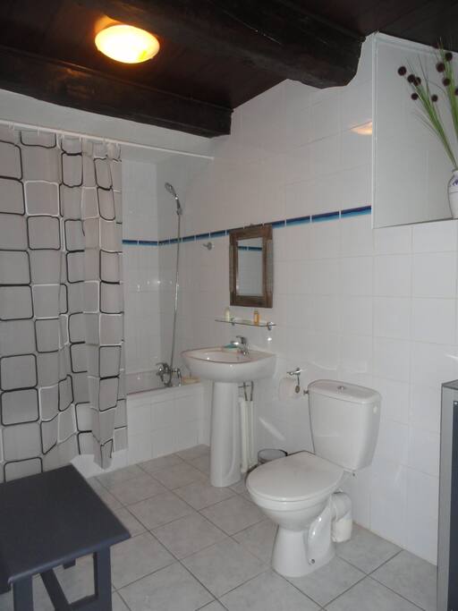 salle de bain (baignoire et wc)