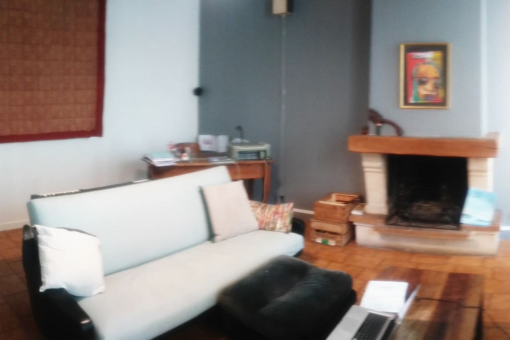 salon de 40m2 avec télé