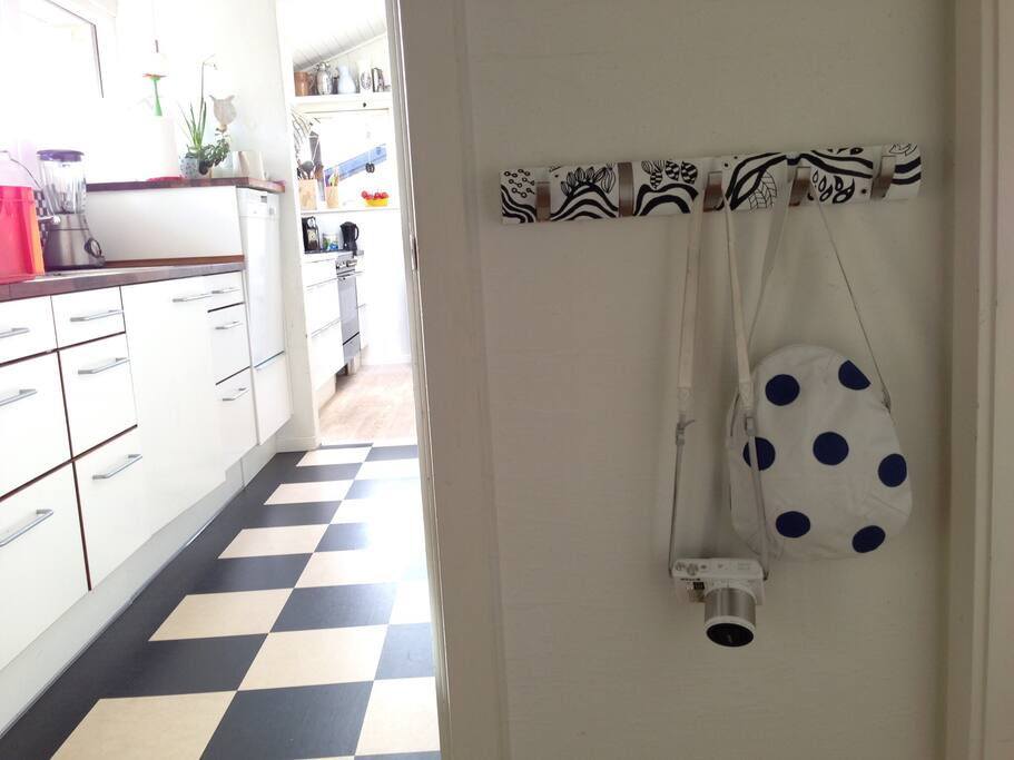 Scullery with dish washer, and blender.