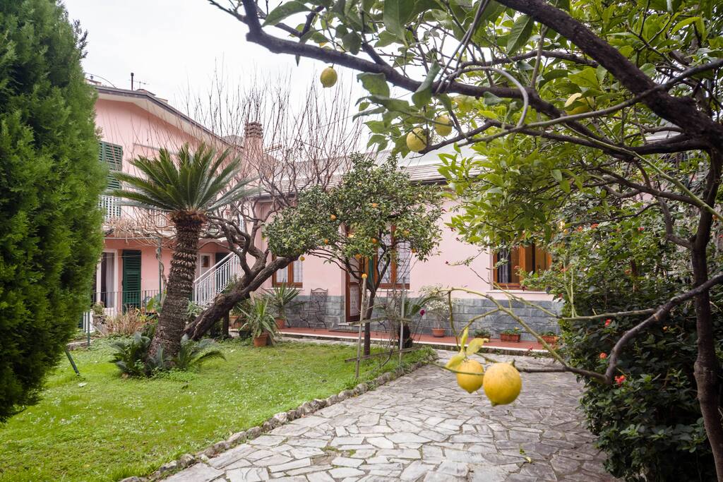 Giardino