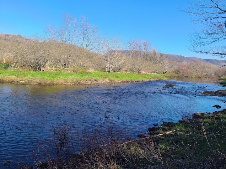 Petit Étang Vacation Rentals & Homes Nova Scotia, Canada Airbnb