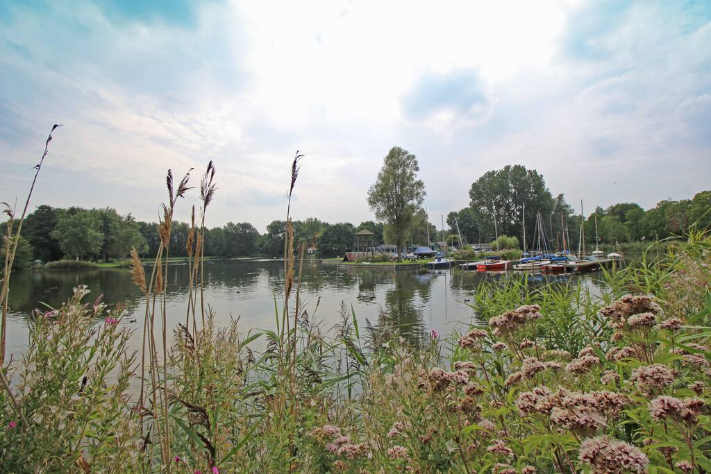The beautiful park and the lake