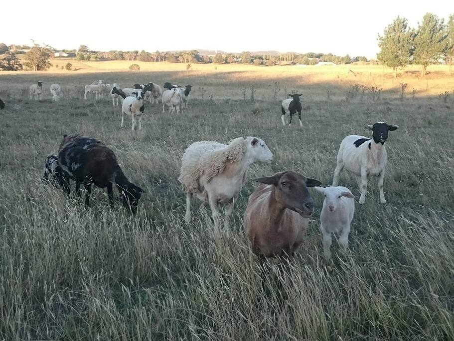 Walk through the surrounding farmland
