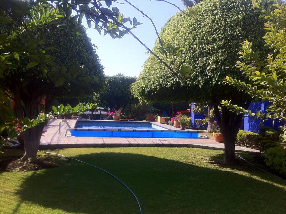 jardín y árboles frutales