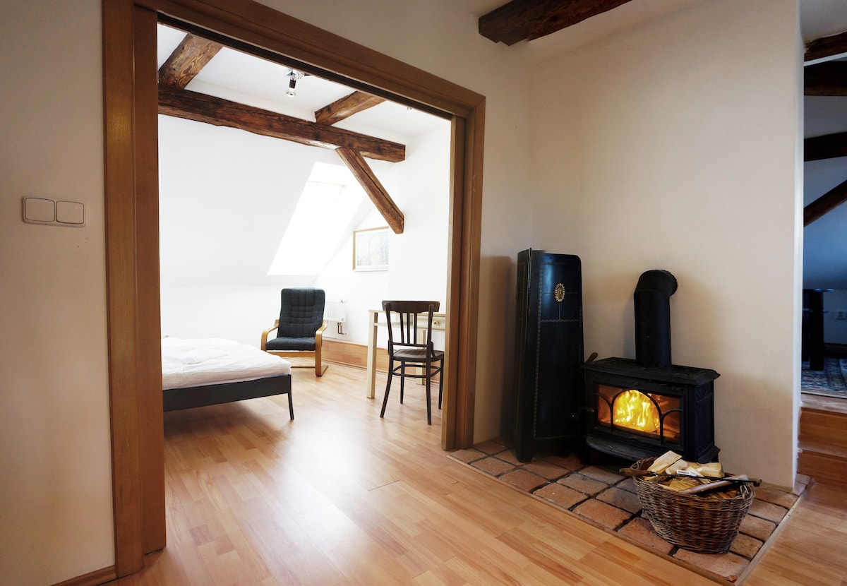 An inviting living space is shown with exposed wooden beams and a skylight. A spacious bed and a single chair are visible, along with a wood-burning stove beside a basket of logs. Warm wood flooring enhances the cozy atmosphere.