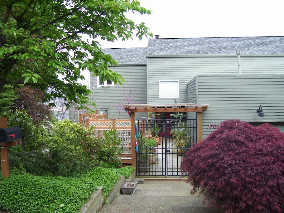 Our Home, The Apartment on Lower floor