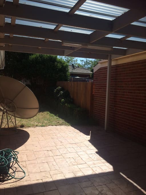 backyard garden