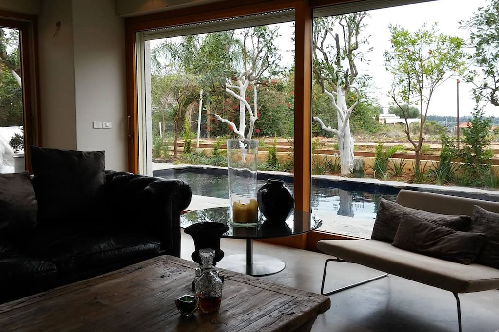 view of pool from the living room
