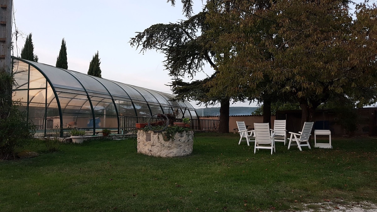 A spacious garden area features a large covered pool enclosed in a transparent structure. Surrounding the pool, several white lounge chairs are positioned on the manicured grass, alongside a stone centerpiece adorned with plants. Towering trees provide shade, enhancing the serene outdoor setting.