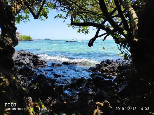 Get Adolescent dormitori tema de la platja HD Adolescent Dormitori Tema De La Platja