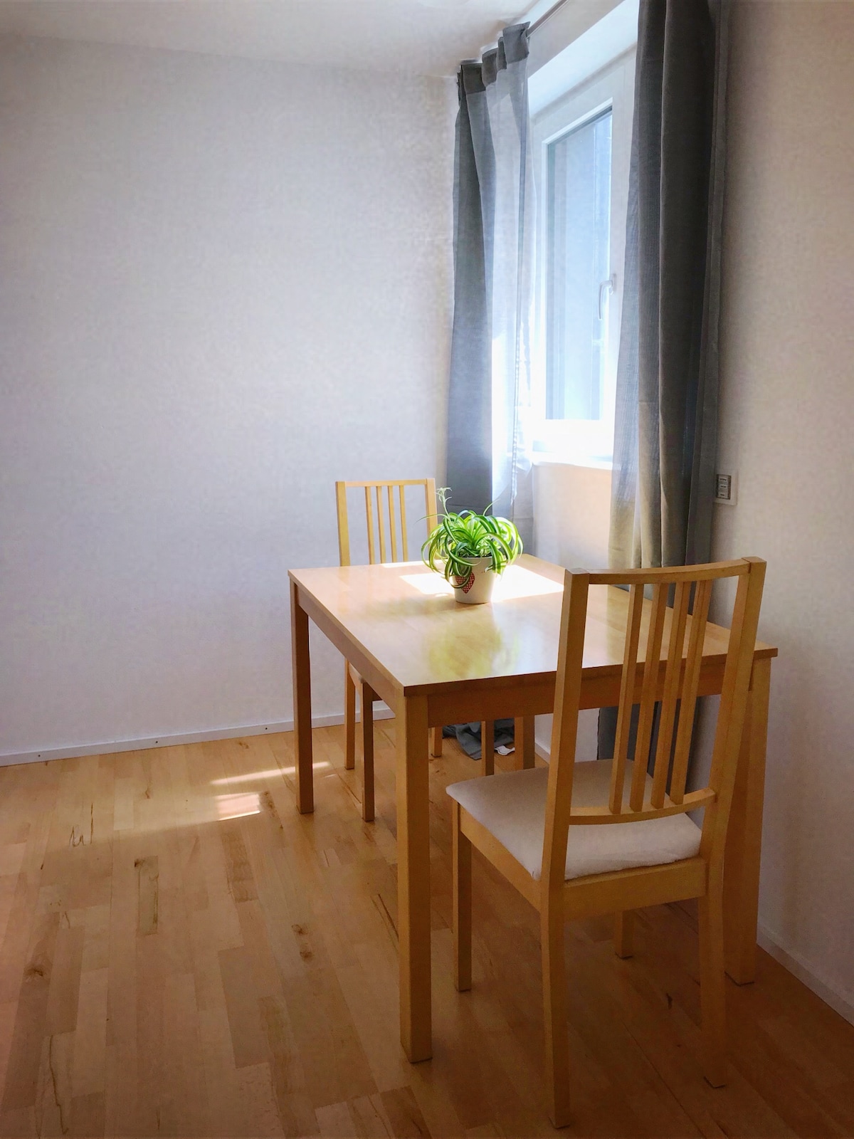A simple dining area is shown with a wooden table and two chairs. A small potted plant sits on the table, illuminated by natural light from a nearby window. Light-colored wooden flooring enhances the clean and minimalist look of the space.