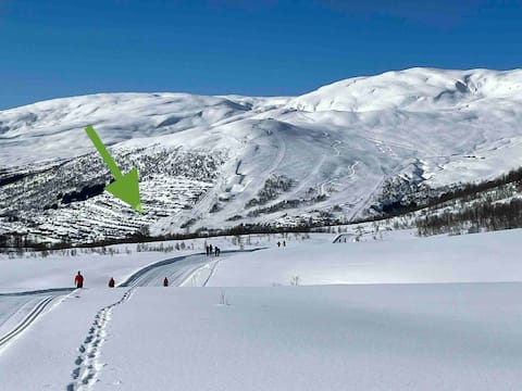 Ski in/ski out in Myrkdalen, Voss!