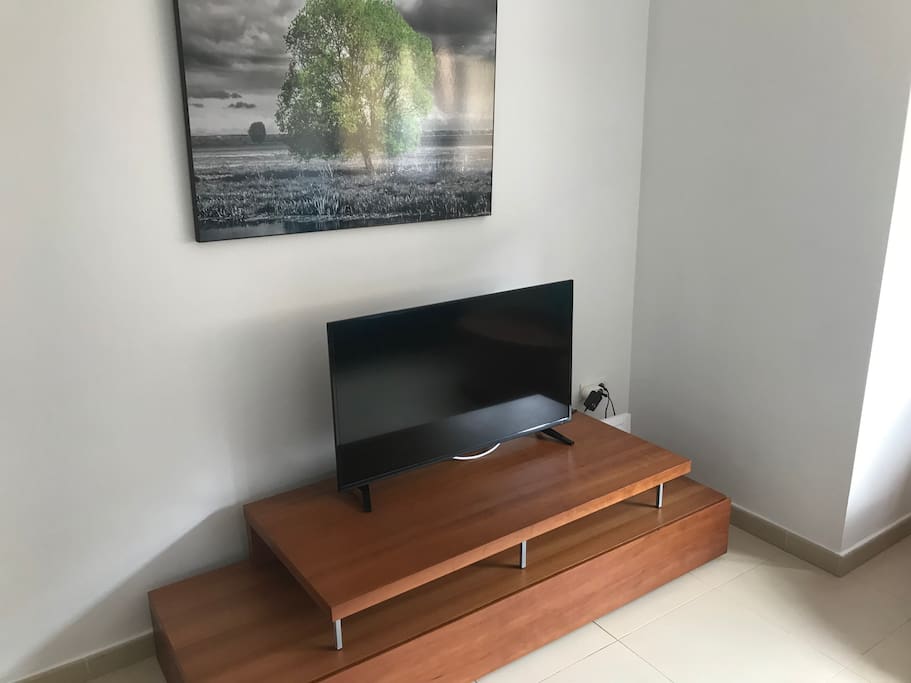 TV with international channels