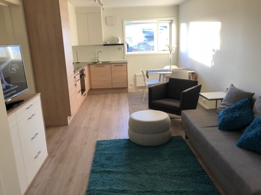 Beautiful studio basement Apartment fully equipped with all you need.
