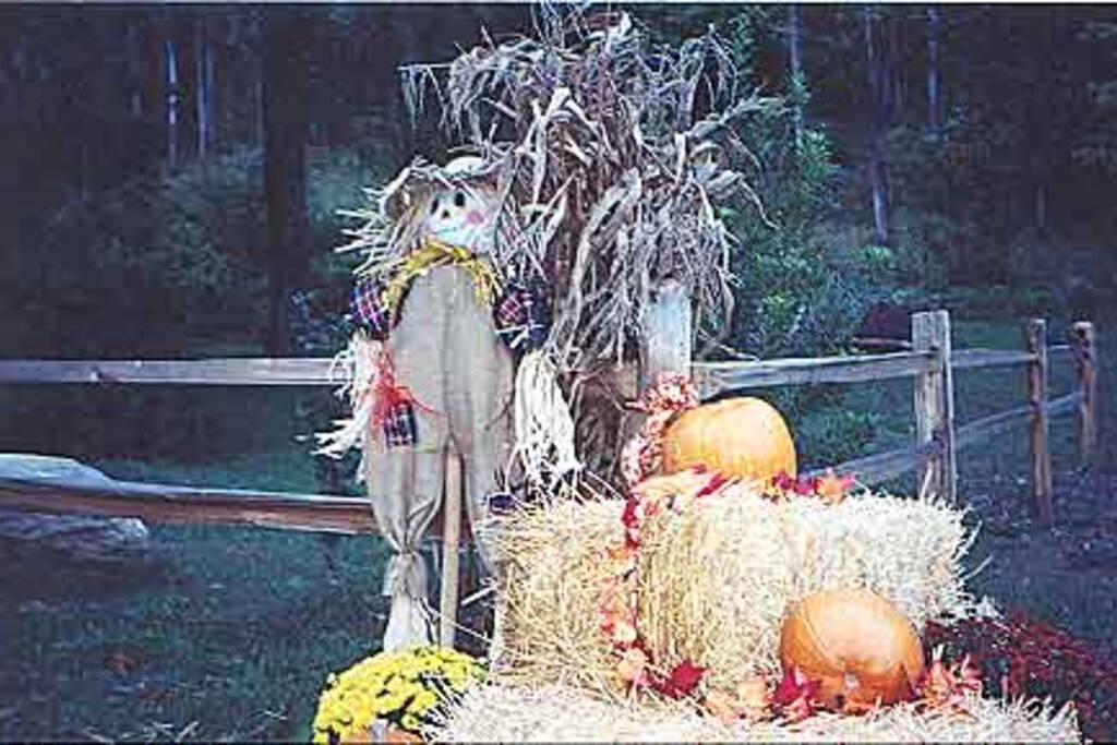 Fall Display