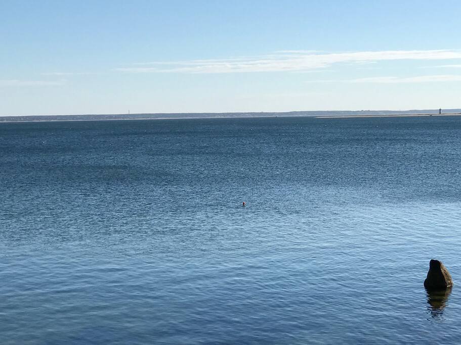 The bay