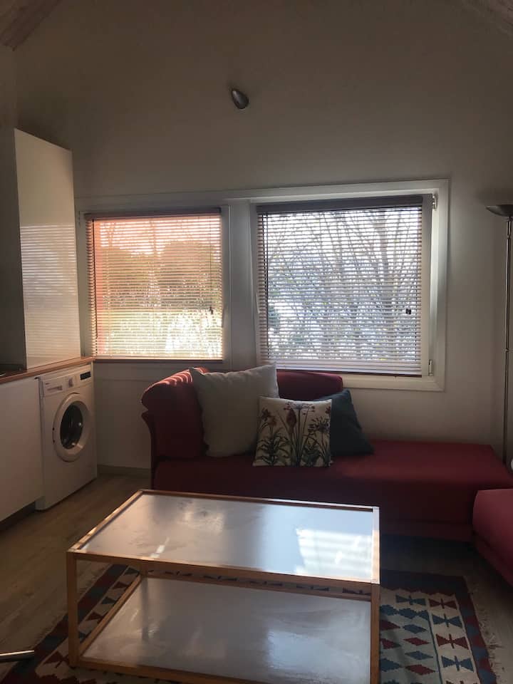 หน้าต่างห้องนั่งเล่นห้องทานข้าวห้องครัว 