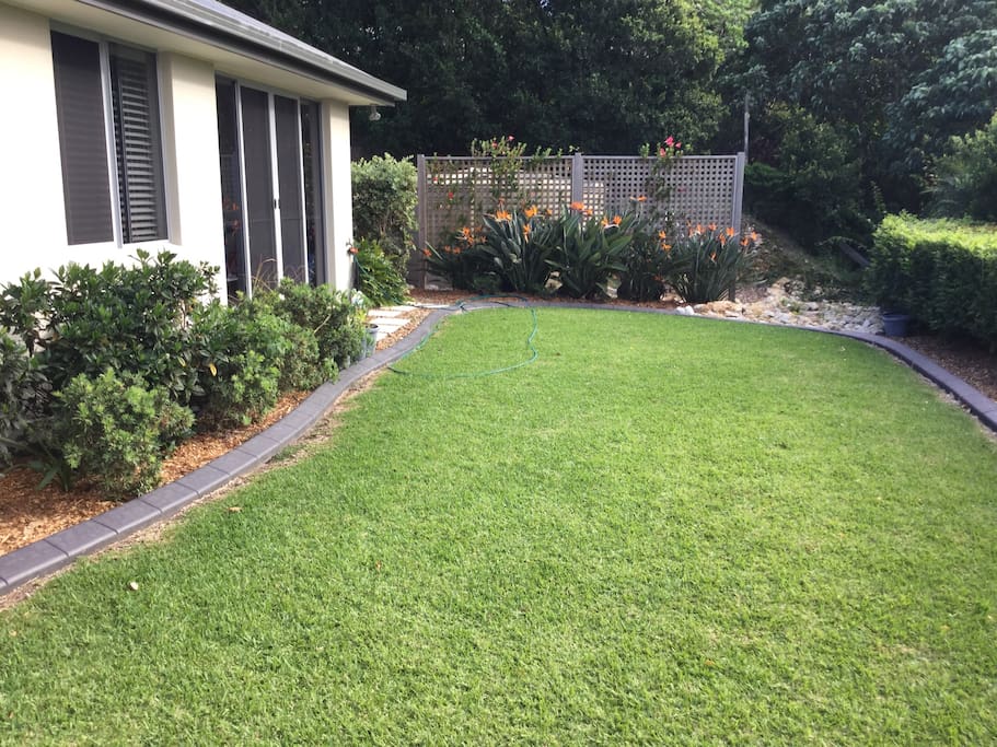 Back yard.