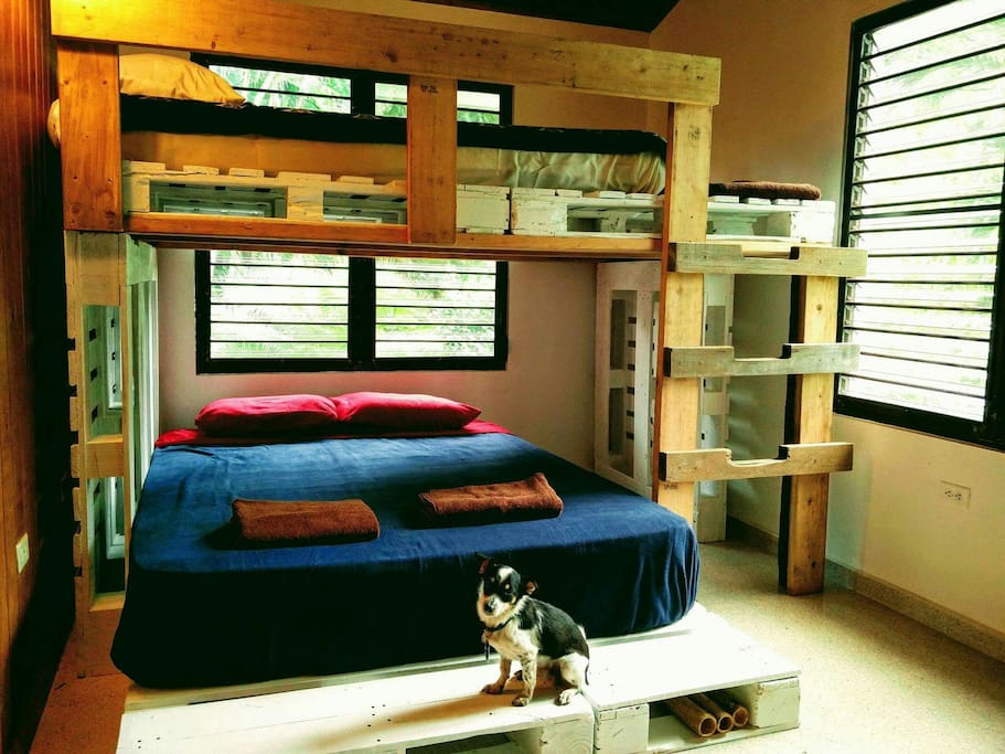 This is the bedroom for groups of 4, the lower bunk has a queen mattress and the upper bunk is a Queen sized airbed. (Dog not included)