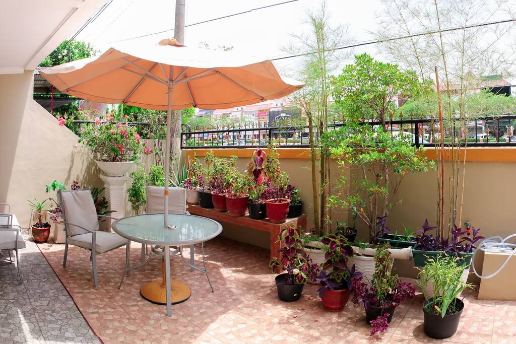 Terrace Area