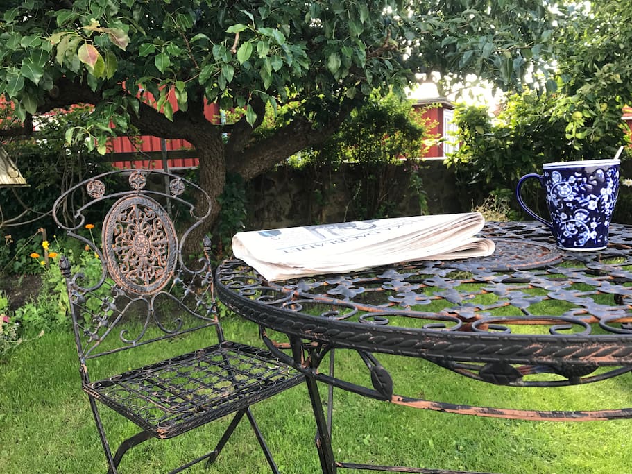 Trädgård