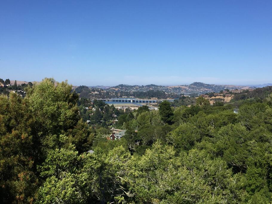 View from kitchen