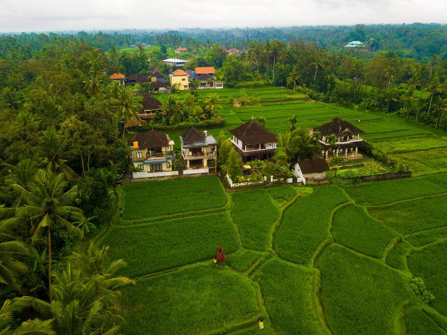 Birds Eye View of The Inn Possible Ubud