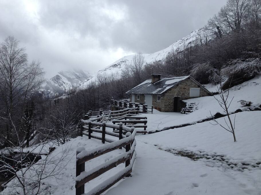 le jardin sous la neige