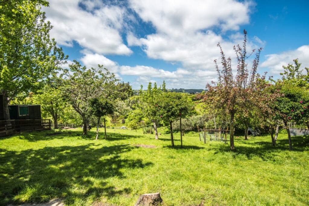 Great peaceful rural views.