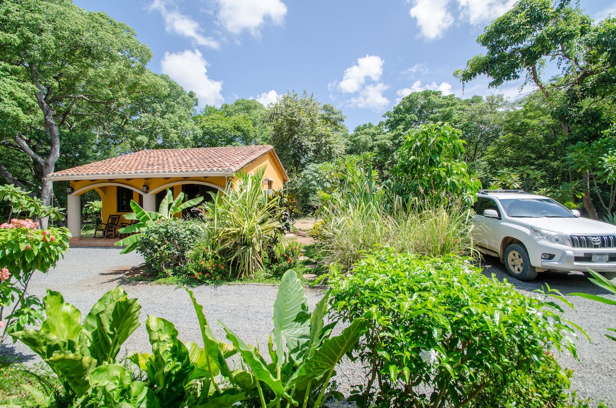 A charming guest house is set among lush greenery, surrounded by tropical plants. A gravel driveway leads to the entrance, where a white SUV is parked. The building features a terracotta roof and arched entryway, with a warm, inviting exterior complemented by natural surroundings.