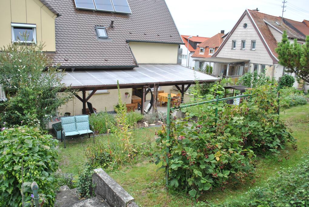 Brombeerstrauch