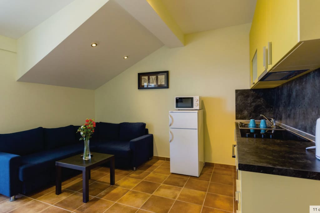 Sofa bed, fridge & microwave