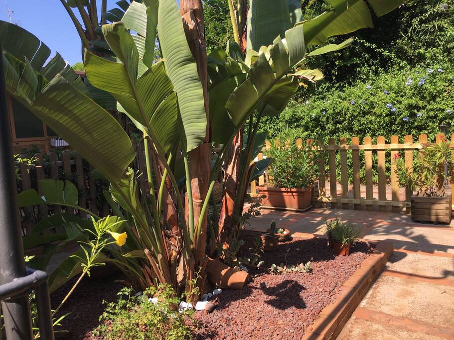 Giardino ingresso comune