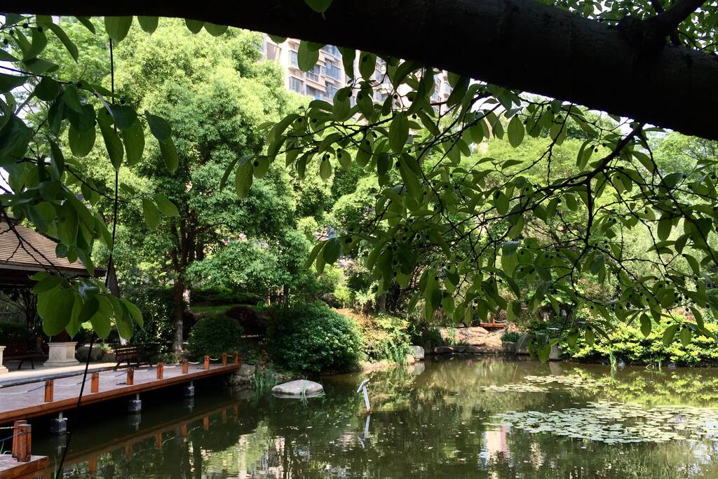 小区景观……休憩的港湾