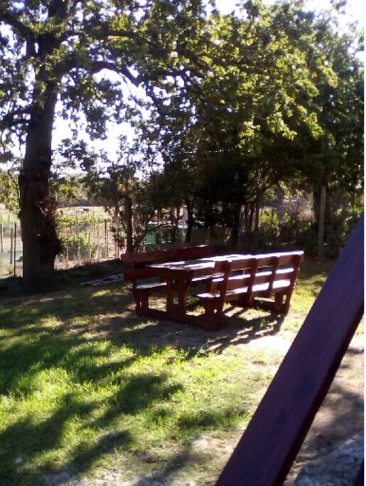Picnic table in the private garden