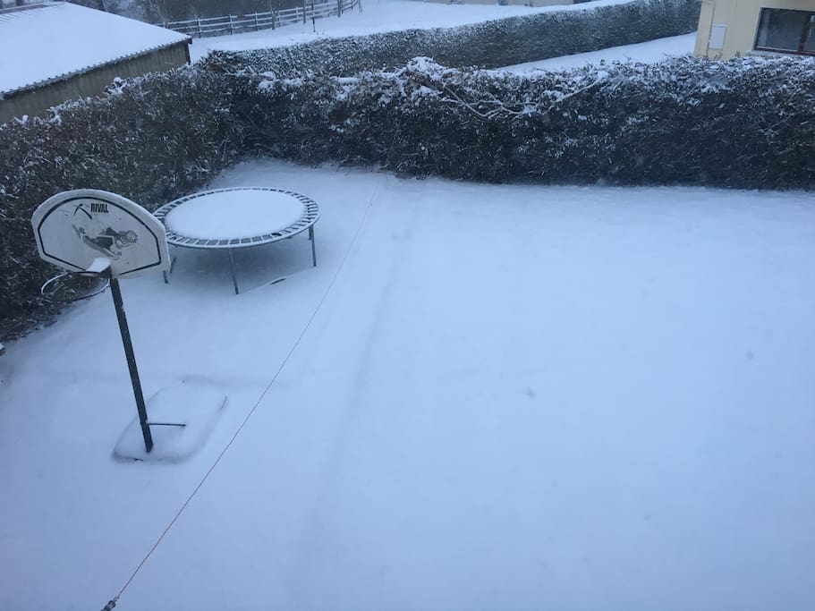 Garden in the winter