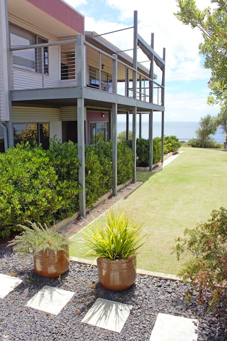 Back Garden
