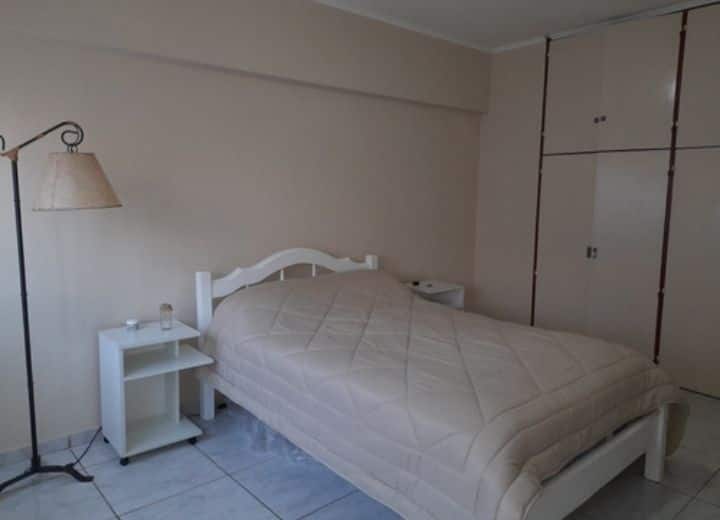 Comfortable and bright apartment in downtown Mendoza Vacation homes