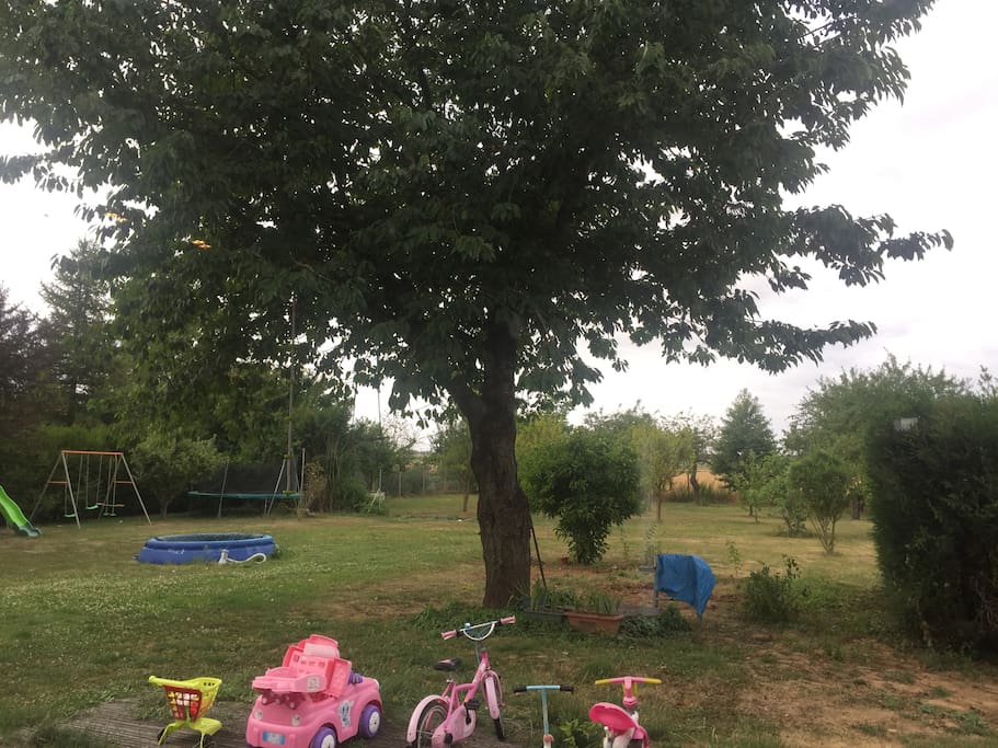 Grand jardin avec ses arbres fruitiers