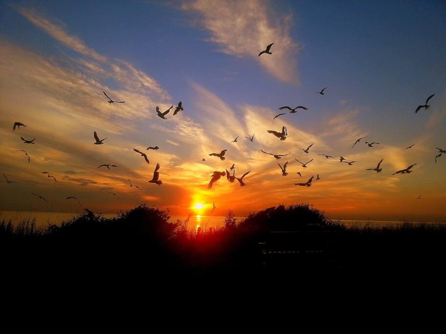 Plenty of fabulous sunsets to see!