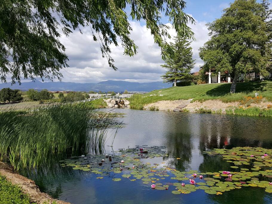 Guests who bring their own gear are welcome to fish! (Catch and release)