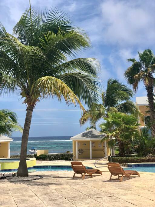 Or perhaps you’d prefer to spend some time relaxing under a coconut tree.