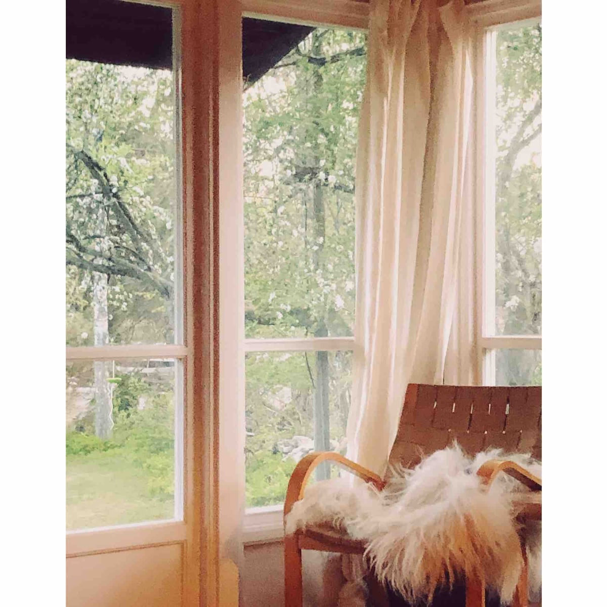 A comfortable chair with a wooden frame is positioned by large windows, offering a view of the verdant backyard. Sheer curtains softly frame the windows, allowing natural light to filter in and create a serene indoor atmosphere.