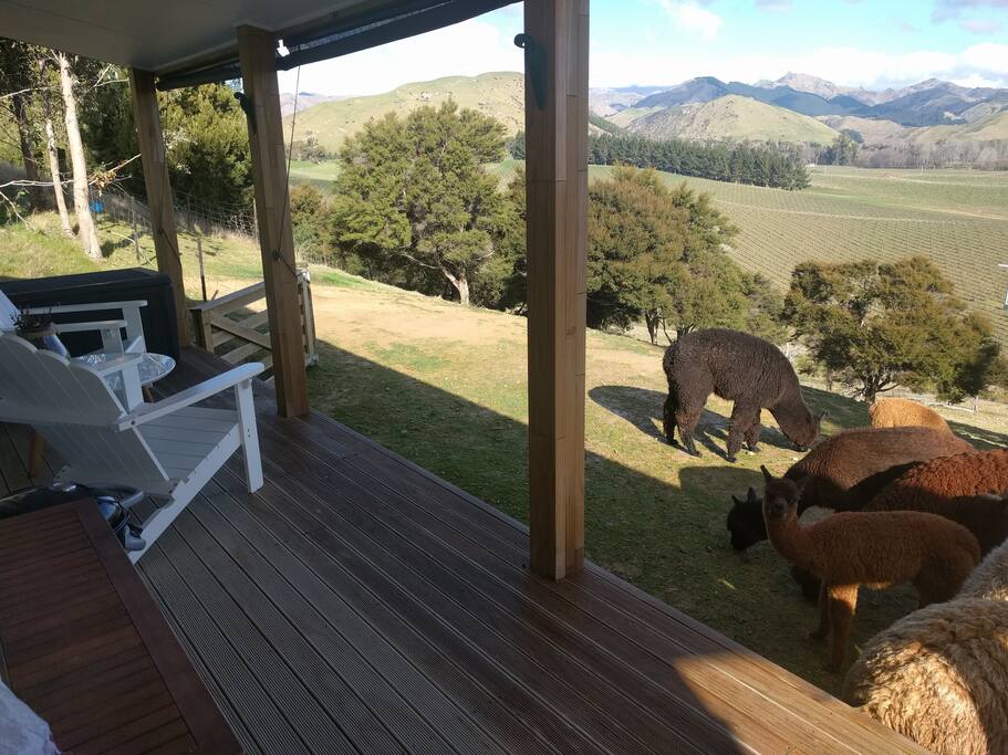 Enjoy a wine on your private veranda and watch the amazing sunset!