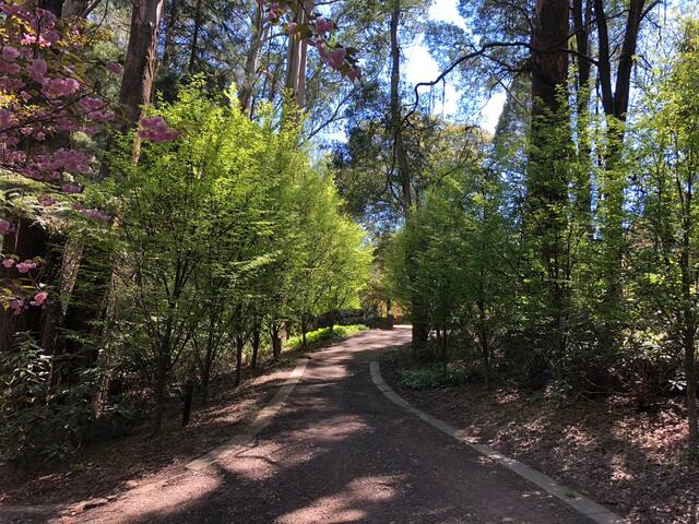 LOCHIEL ORIGINAL COTTAGE (8 PERSON) gallery image 5