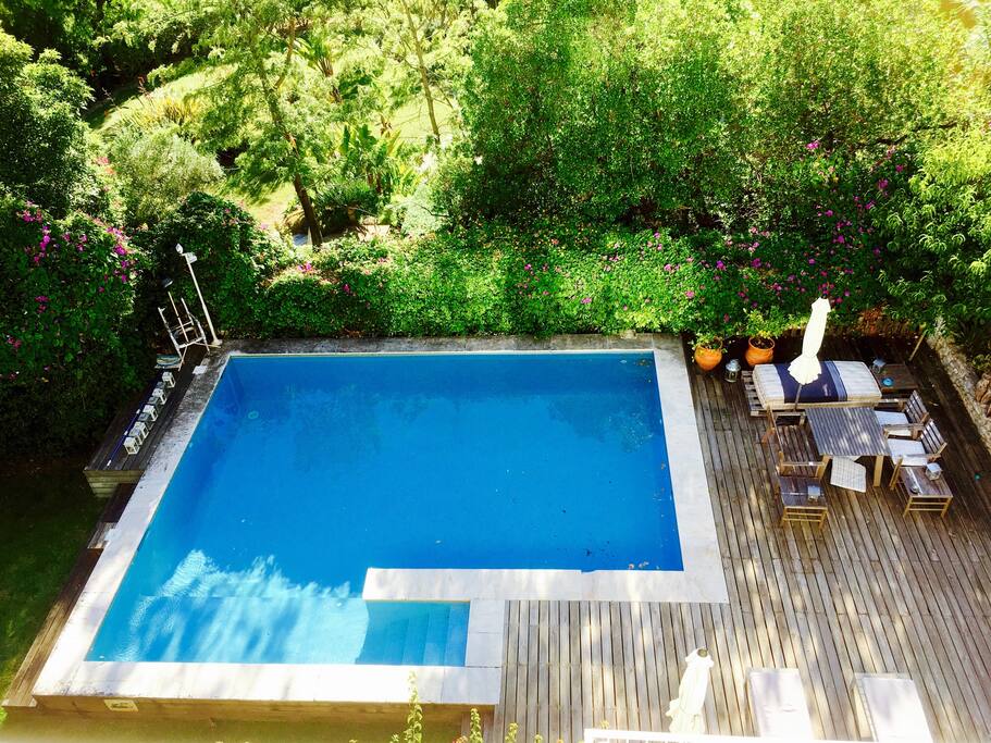 The pool