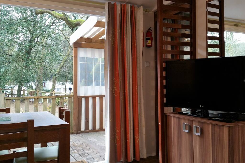de grandes baies vitré pour profité des exterieurs